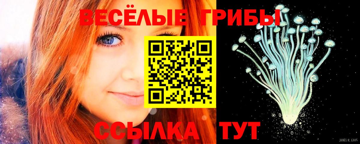 Галлюциногенные грибы MAGIC MUSHROOMS Новоуральск