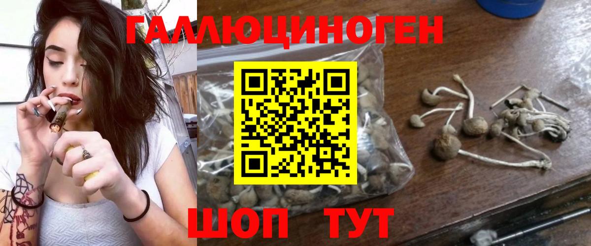 Псилоцибиновые грибы Psilocybe  Вход с VPN  Галлюциногенные грибы GOLDEN TEACHER  Новоуральск 